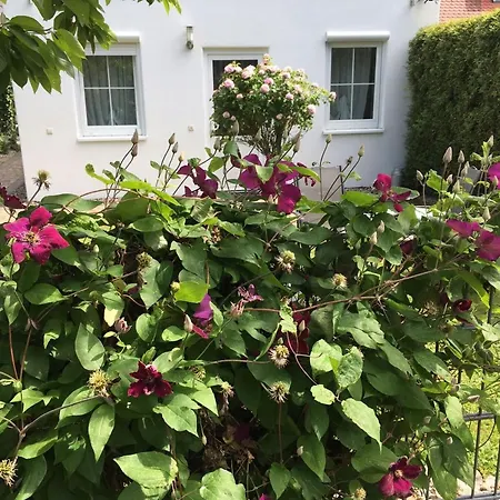 Kronengarten Apartment