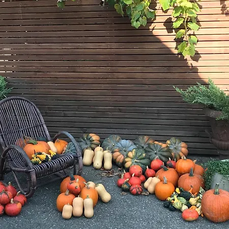 Kronengarten Apartment