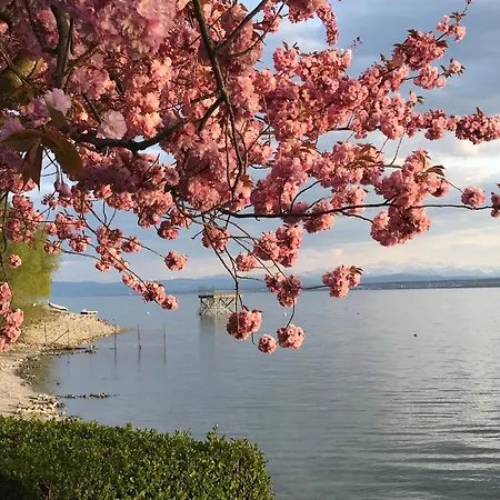 Kronengarten * Meersburg